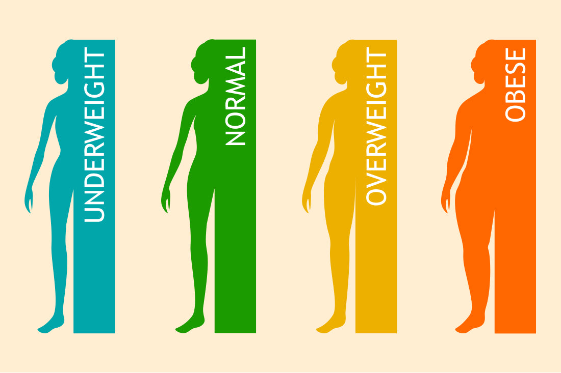 What is a Healthy BMI and Body Fat Percentage?