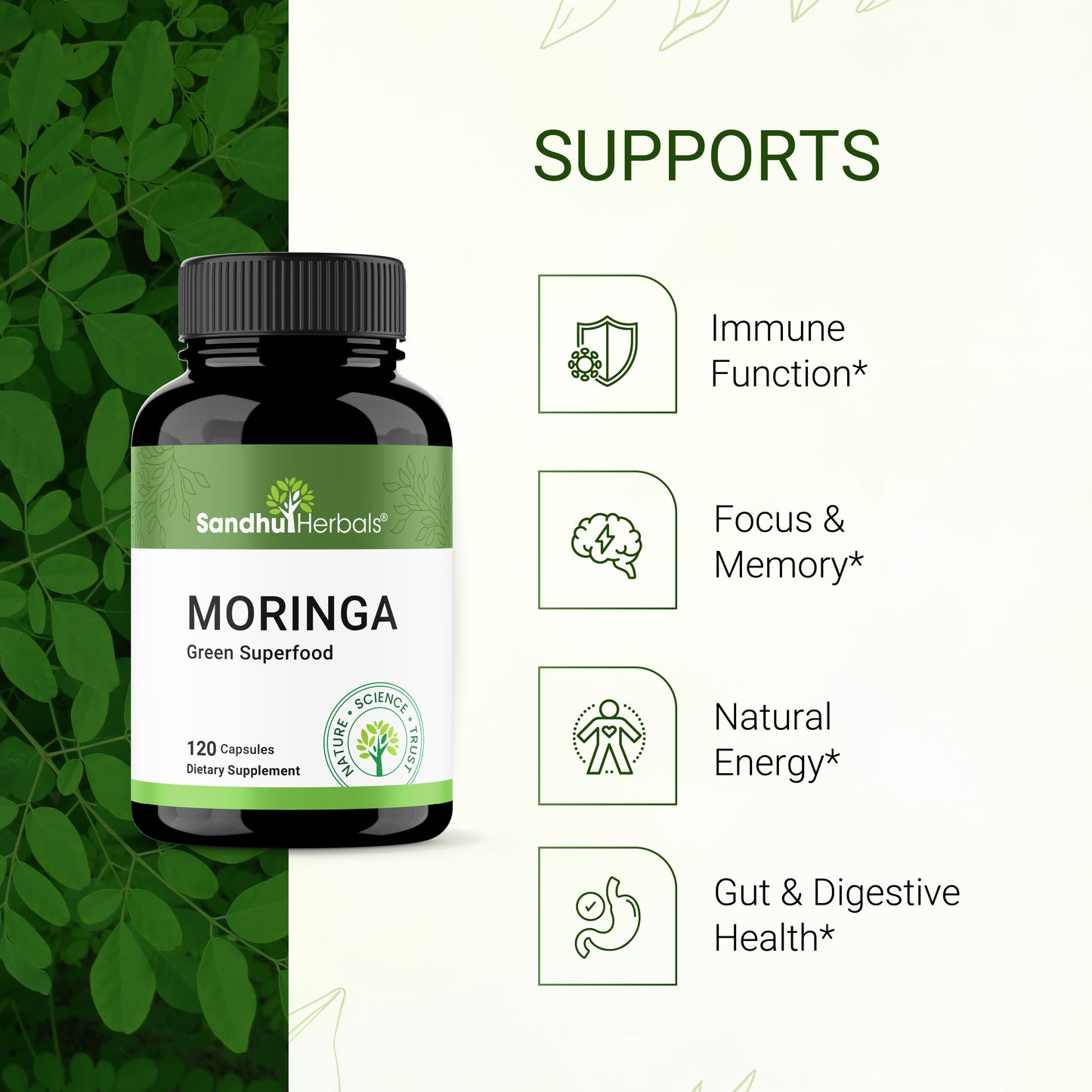 Sandhu Herbals Moringa Capsules: 100% Pure Antioxidant Superfood for Immune, Gut, Skin Health & Energy