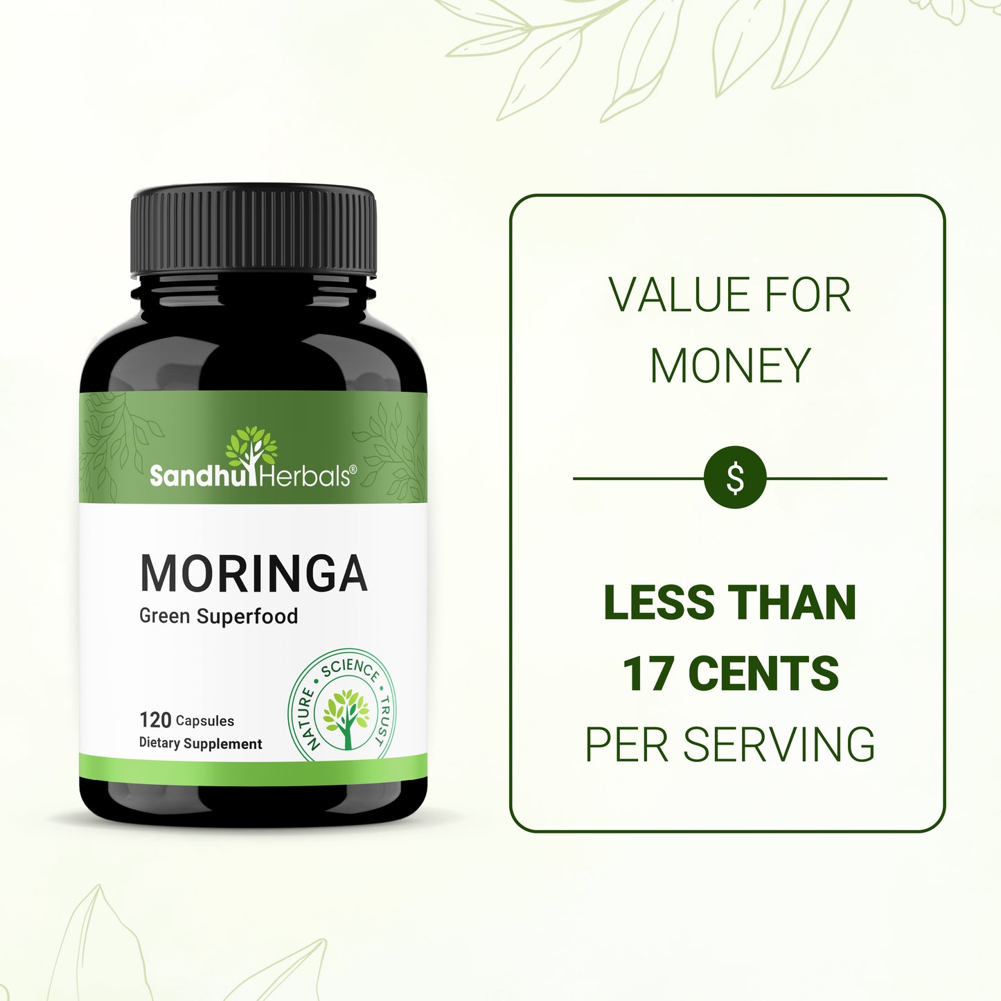Sandhu Herbals Moringa Capsules: 100% Pure Antioxidant Superfood for Immune, Gut, Skin Health & Energy