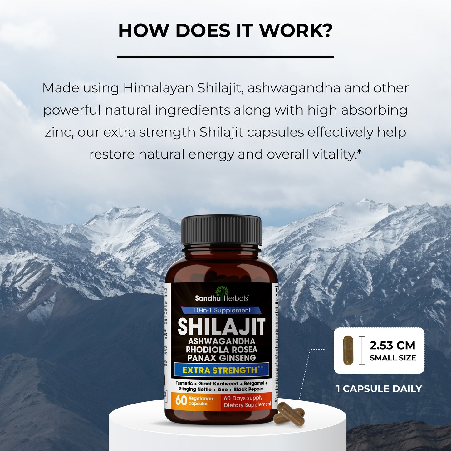 Shilajit 10-In-1 Capsules 60Ct