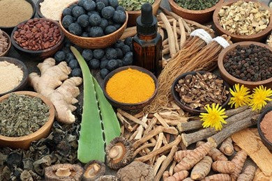 All You Need to Know on: ADAPTOGENS