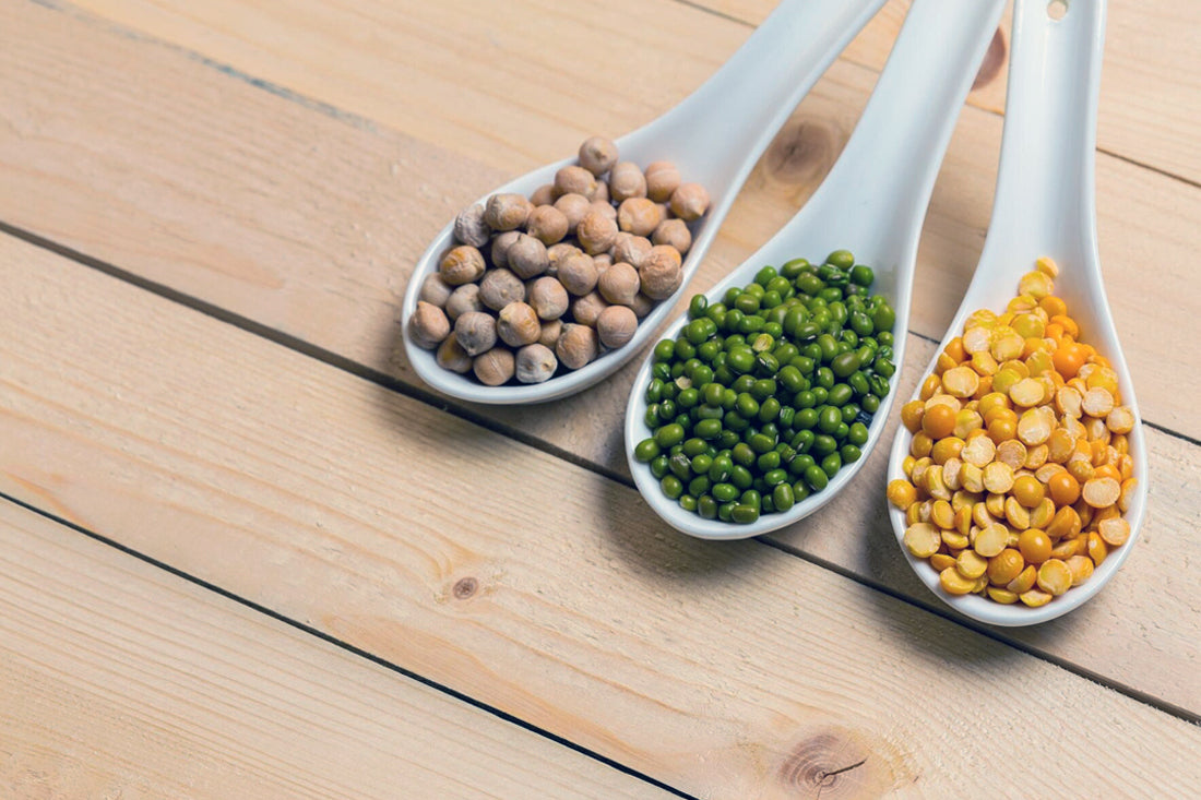 Discover 5 Protein-Packed Superfoods for Sprouting Success