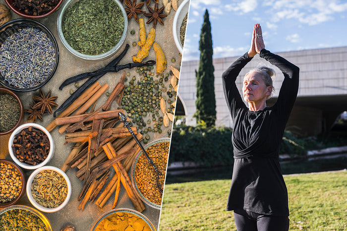 How Can Ayurvedic Herbs and Support Mind-Body Wellness?