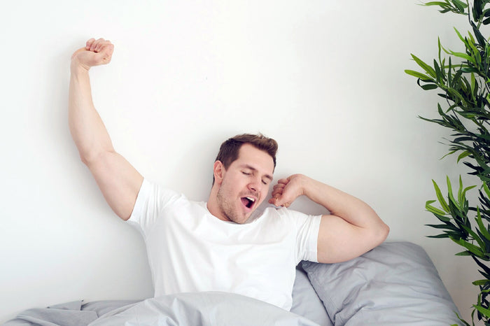 How to Balance Cortisol Levels for Better Sleep