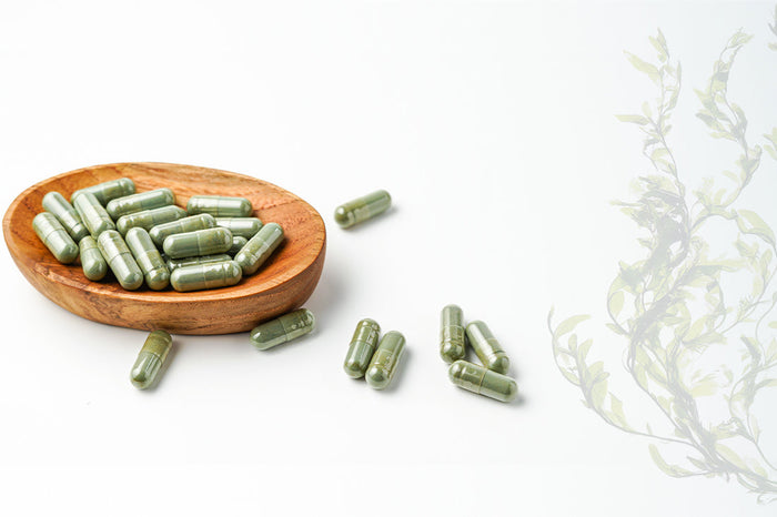 How to Use Sea Moss Capsules for the Best Results