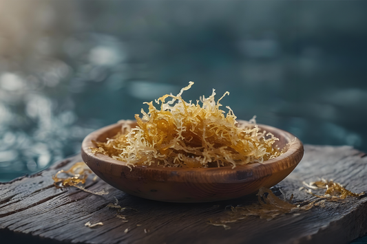 Raw sea moss in a wooden bowl, showcasing the natural marine ingredient and its traditional role in nutrition, gut health, and overall wellness.