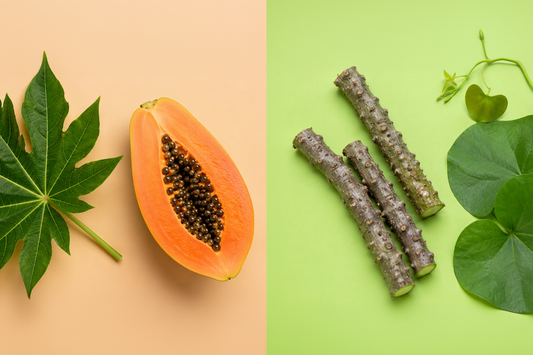 Fresh papaya leaf and giloy stems displayed naturally to highlight herbal wellness, immunity support, and balance.