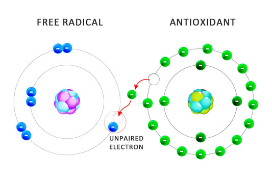 Understanding Free Radicals and Their Impact on Your Health