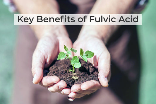 Unlocking the Key Benefits of Fulvic Acid