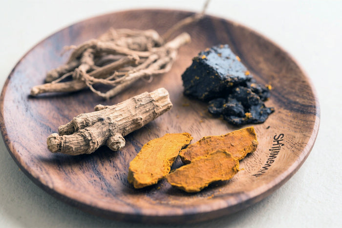 What Are the Top Herbs That Help in Healthy Aging?