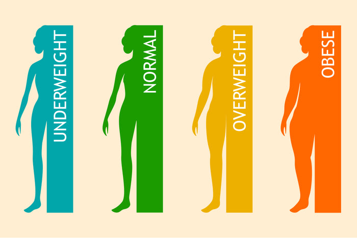 What is a Healthy BMI and Body Fat Percentage?