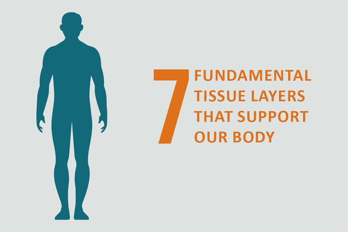 Which Layers of Your Body Nourish Health from Within?