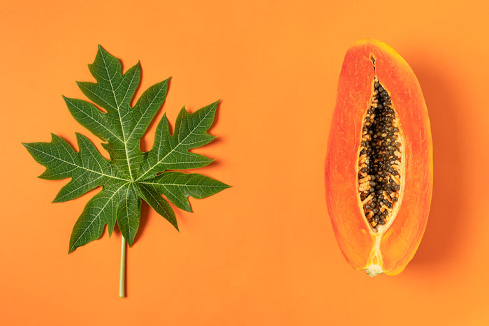 Papaya leaf beside sliced ripe papaya with seeds on orange background, showing natural source of nutrients and plant extracts