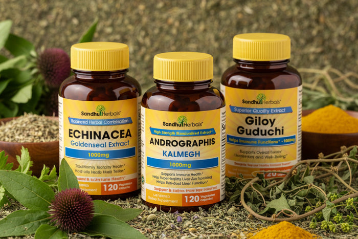 Bottles of Sandhu Herbals supplements featuring Echinacea Goldenseal Extract, Andrographis Kalmegh, and Giloy Guduchi on a natural herbal background.
