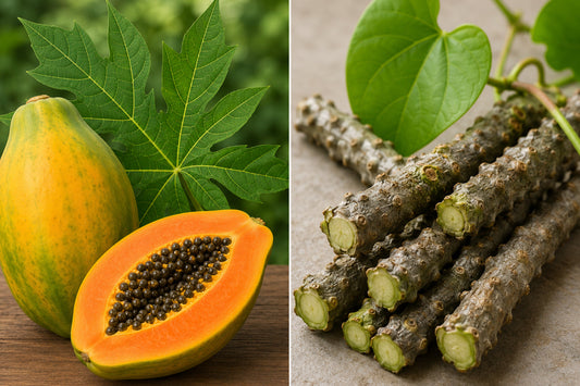 Papaya fruit and giloy stems together representing natural herbal support for immunity, digestion, vitality, and inner balance