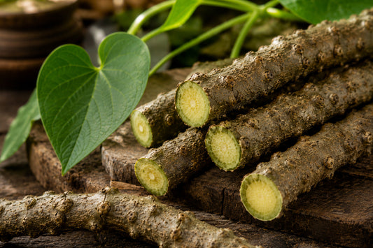 Fresh Giloy Guduchi stems and heart-shaped leaves representing traditional herbal wellness and immune support