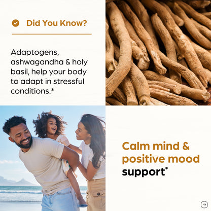Ashwagandha Zinc Capsules 120 Ct