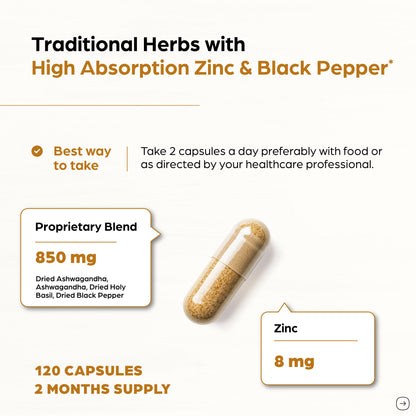 Ashwagandha Zinc Capsules 120 Ct