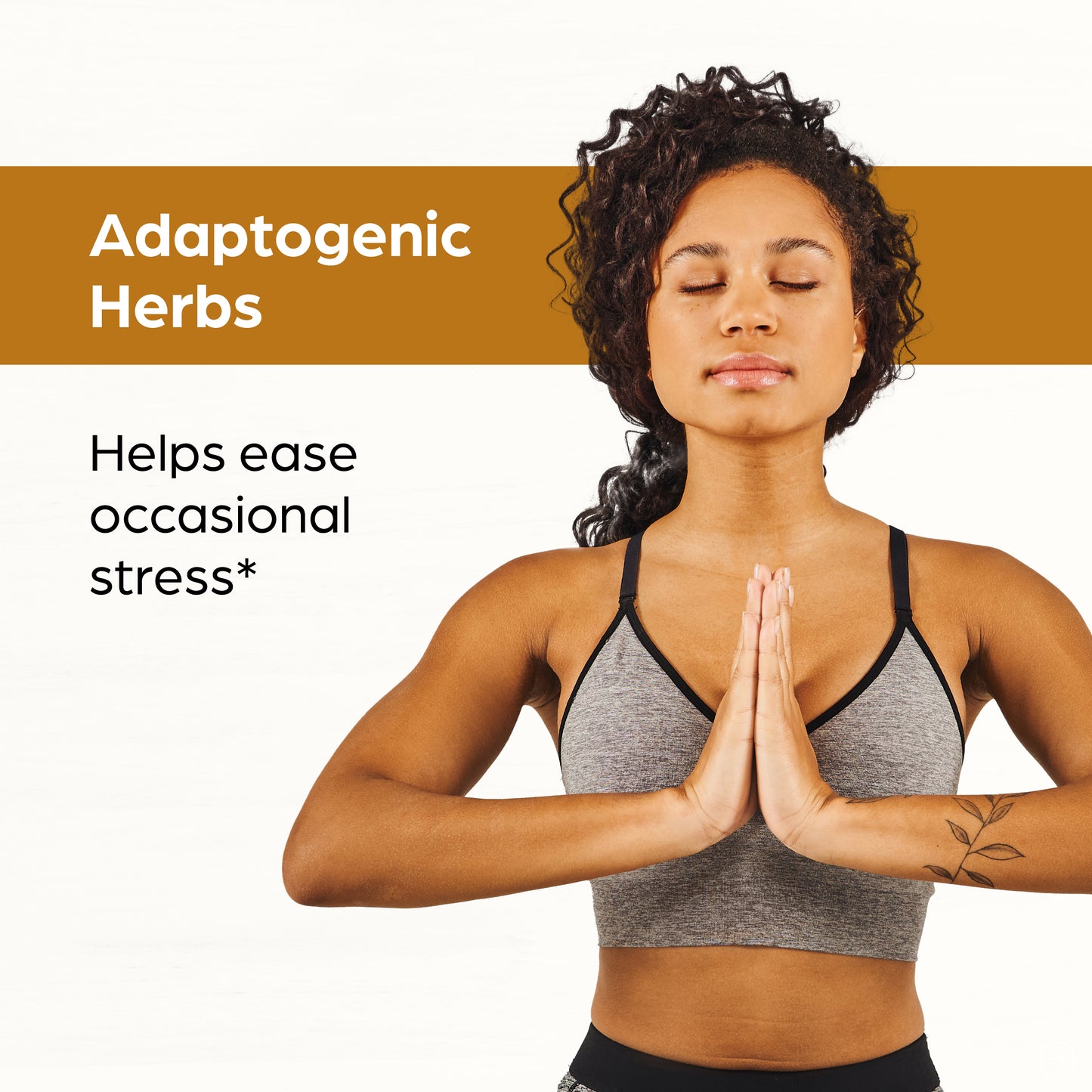 Ashwagandha Zinc Capsules 120 Ct