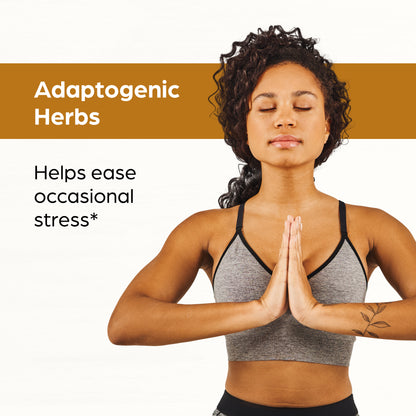 Ashwagandha Zinc Capsules 120 Ct