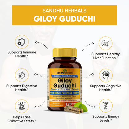 Giloy Guduchi Capsules 120 Ct