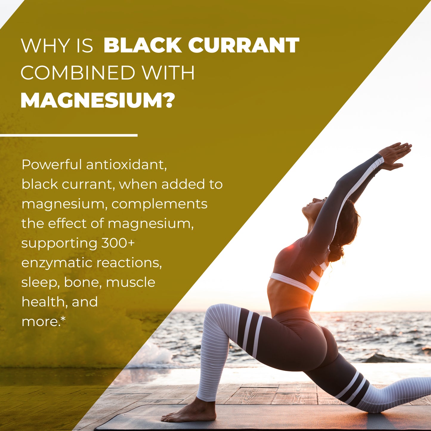 Magnesium Complex with Black Currant