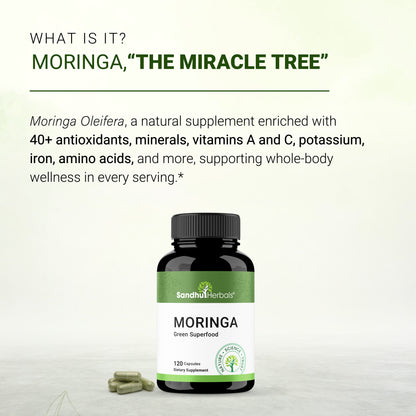 Sandhu Herbals Moringa Capsules: 100% Pure Antioxidant Superfood for Immune, Gut, Skin Health & Energy