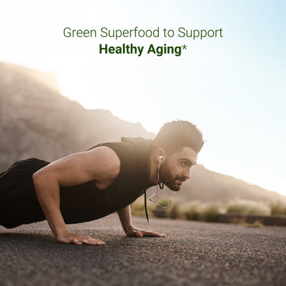 Sandhu Herbals Moringa Capsules: 100% Pure Antioxidant Superfood for Immune, Gut, Skin Health & Energy