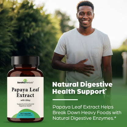 Papaya Leaf Extract Supplement with Giloy (Guduchi) Extract Capsules 120Ct