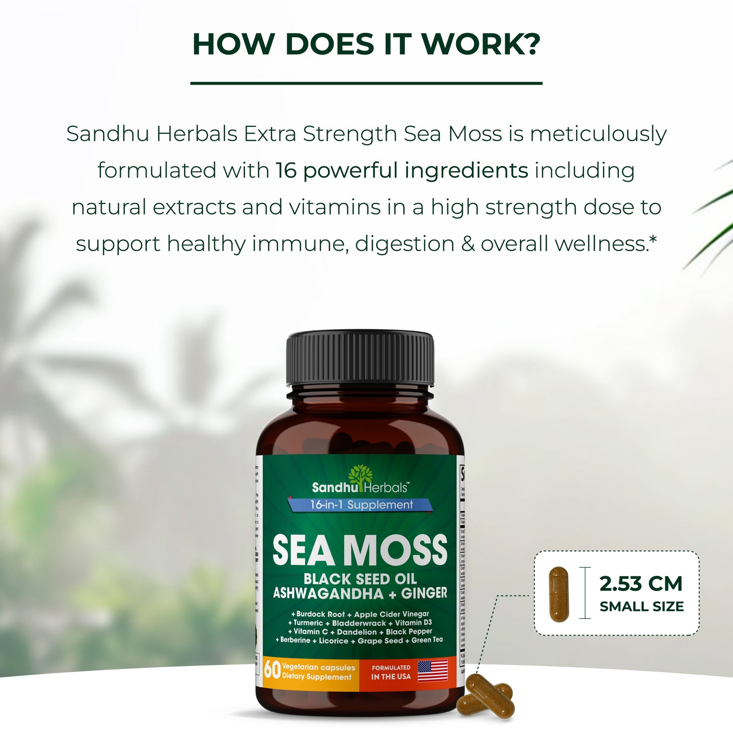 Sea Moss Capsules 60 Ct