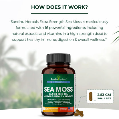 Sea Moss Capsules 60 Ct