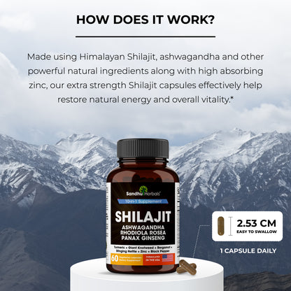 Shilajit 10-In-1 Capsules 60Ct