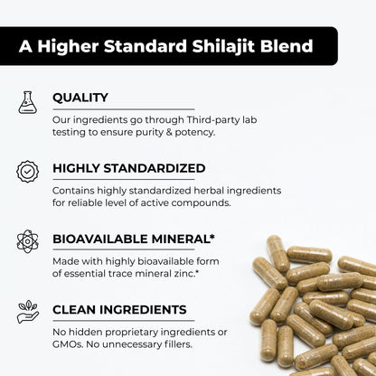 Shilajit 10-In-1 Capsules 60Ct